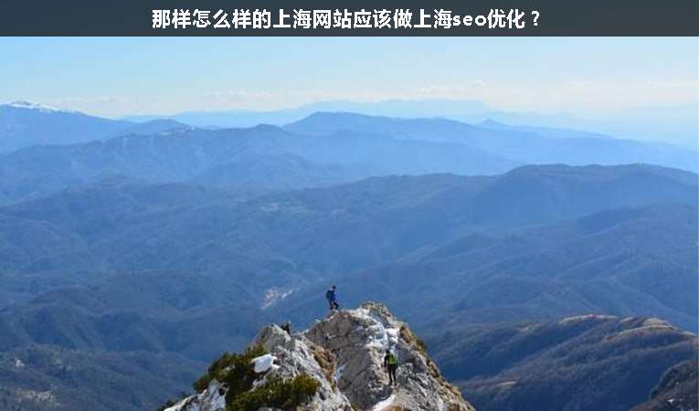 那樣怎么樣的上海網站應該做上海seo優化？
