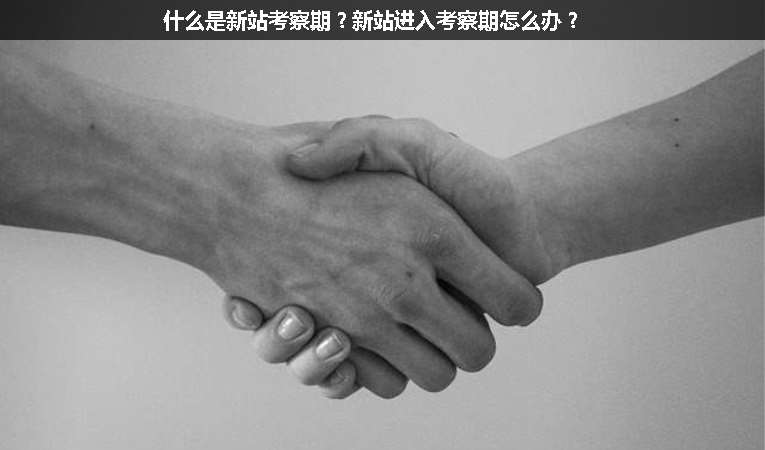 什么是新站考察期？新站進(jìn)入考察期怎么辦？