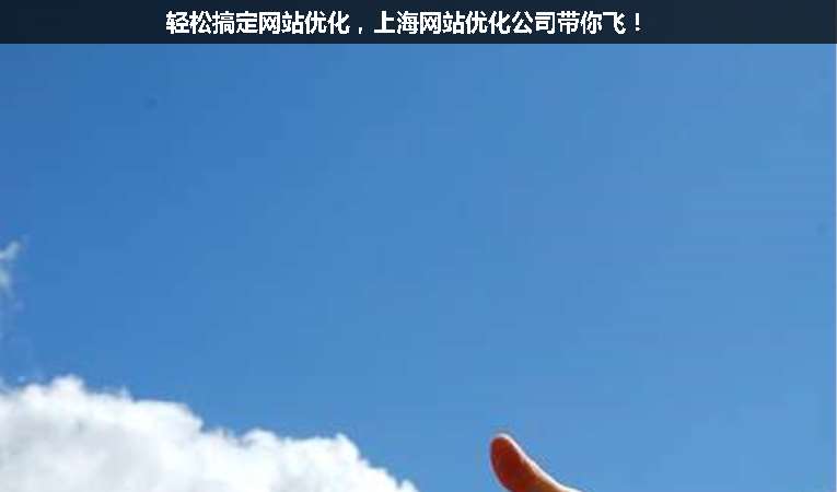 輕松搞定網(wǎng)站優(yōu)化，上海網(wǎng)站優(yōu)化公司帶你飛！