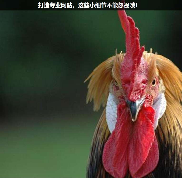 打造專業網站,這些小細節不能忽視哦!