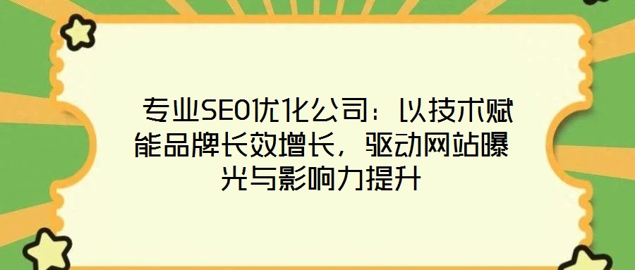  專業(yè)SEO優(yōu)化公司：以技術(shù)賦能品牌長效增長，驅(qū)動網(wǎng)站曝光與影響力提升
